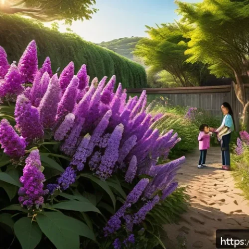 Home 31 곤충 친화 정원의 식물 추천 - A vibrant garden scene featuring lush Buddleia bushes covered in clusters of small purple flowers, a...